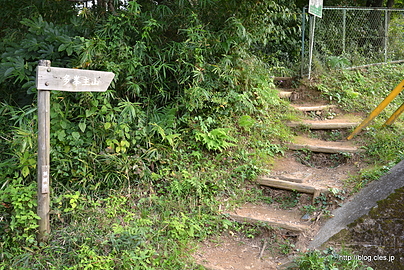 登山口 - ヤマノススメに登場する多峯主山（とおのすやま）に登る