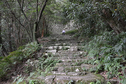 石段 - 宇和島城の現存天守
