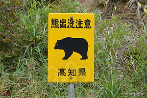 クマ出没注意 - 酷道ヨサク (R439) と京柱峠