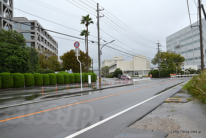 日亜化学工業 本社 - 青色 LED が話題なので・・・