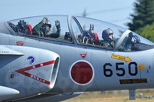 着陸した T-4（06-5650） - 入間航空祭 2014 に出撃（飛行点検隊～第2輸送航空隊編）