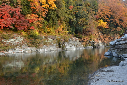 岩畳と紅葉 - 長瀞の岩畳と紅葉