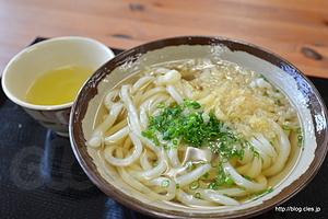 かけ小 - 本日のうどん４杯目：大吉のかけ小（通算７杯目）