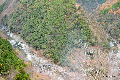 ひの字渓谷 - 祖谷渓谷を往く