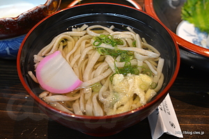 祖谷そば - ランチは祖谷そばと郷土料理で