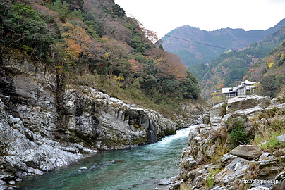 乗船場付近 - 大歩危（おおぼけ）峡の船下り