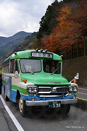 四国交通 いすゞBXD30 - 晩秋の西祖谷をボンネンットバスで巡る