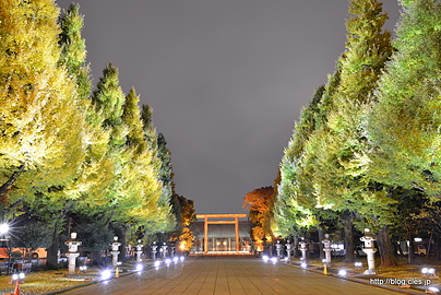 大村益次郎像付近からの神門方向 - 靖國神社参道の黄葉ライトアップ