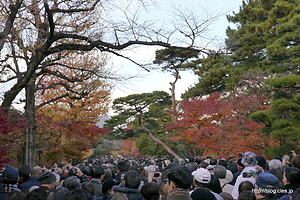  - 秋季皇居乾通り一般公開は大混雑