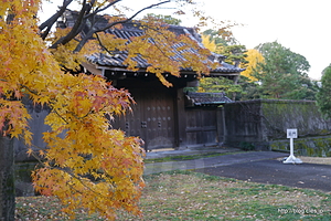 局門と紅葉 - 秋季皇居乾通り一般公開は大混雑
