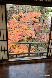 2階客間の窓からの眺め - 紅葉の安田楠雄邸