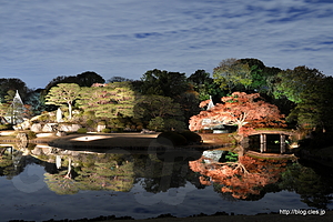 出汐の湊からの中の島 - 六義園 紅葉と大名庭園のライトアップ 2014 にいってきた