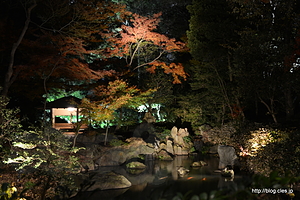 千鳥橋からの滝見茶屋 - 六義園 紅葉と大名庭園のライトアップ 2014 にいってきた
