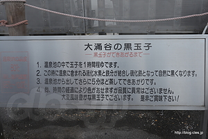 黒いのは硫化鉄のせい - 寿命が7年延びるタマゴを食べる
