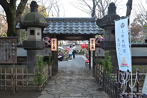 入口 - 上野東照宮の冬ぼたん