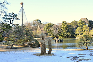 雪の残る園内 - 雪と梅の六義園