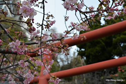 走り湯神社 - 横穴の源泉「走湯温泉跡」