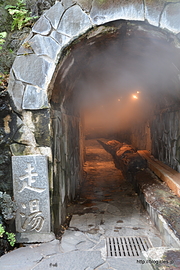 入り口から中を覗く - 横穴の源泉「走湯温泉跡」