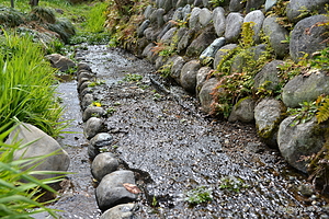 小藤川湧水 - 小藤川湧水と梅の花