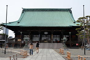 本堂 - 桜咲く護国寺