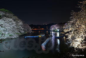 千鳥ヶ淵 ボート乗り場 （武道館方向） - 桜咲く千鳥ヶ淵 2015