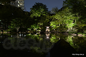 心字池と雪見灯籠 - 旧古河庭園の春バラと洋館のライトアップ 2015