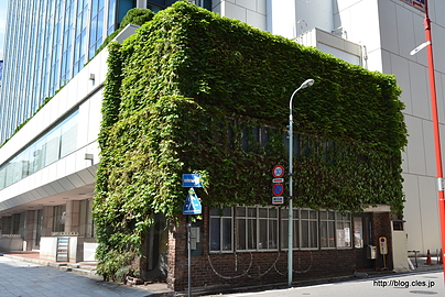旧蔦カレー - 室町の蔦カレー、解体へ