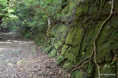 島内の様子 - 友ヶ島へ上陸
