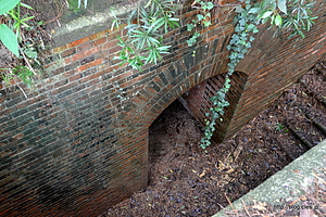 第４砲台の台座へと続くトンネル - 友ヶ島を散策（第４砲台編）