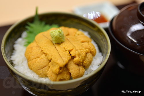 生うに丼 - うに むらかみの生うに丼