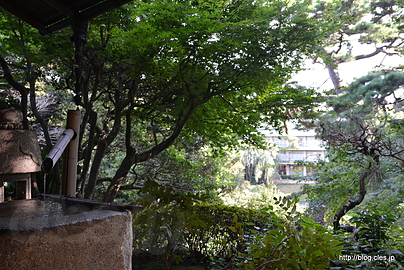 浄庵からの眺め - 池上本門寺の奥庭「松濤園」で英気を養う