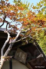 根庵の額 - 池上本門寺の奥庭「松濤園」で英気を養う