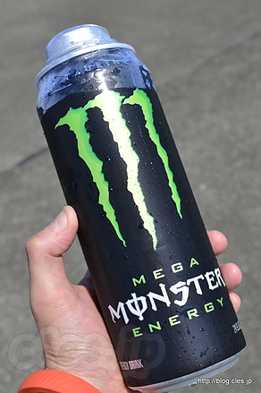 MEGA Monster Energy （green） - 横田基地日米友好祭 2015 に行ってきた