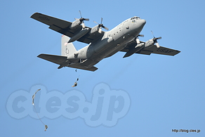 C-130 Hercules （AF74-1666） パラシュート降下 - 横田基地日米友好祭 2015 のパラシュート降下