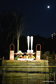 お供えと月 - 向島百花園の月見の会でゆったりお月見