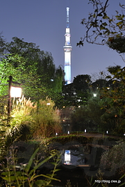 園内からのスカイツリー - 向島百花園の月見の会でゆったりお月見