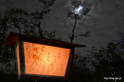絵行灯と月 - 向島百花園の月見の会でゆったりお月見
