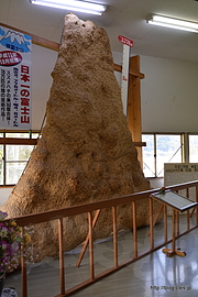 ギネス記録の蜂富士山 - スズメバチの巣だらけの「蜂天国」