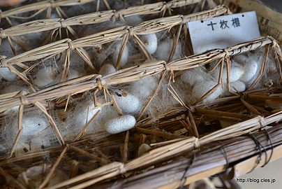 養蚕 - 海野宿の重伝建の町並み