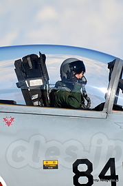 手を振る F-15（52-8849） - 秋晴れの入間航空祭 2015 （F-15＆F-2帰投～退場）