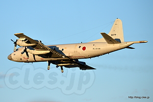 P-3C（5079） - 秋晴れの入間航空祭 2015 （海自機帰投編）