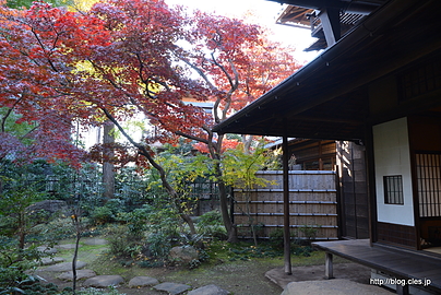 茶の間と庭 - 旧安田楠雄邸庭園の紅葉 2015