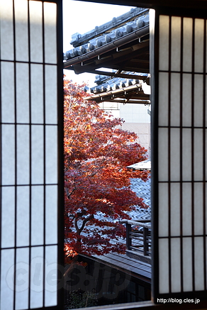 障子の隙間から見える紅葉 - 旧安田楠雄邸庭園の紅葉 2015