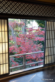 ２階客間からの紅葉 - 旧安田楠雄邸庭園の紅葉 2015