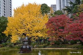 鶴の噴水と紅葉 - 日比谷公園の紅葉 2015