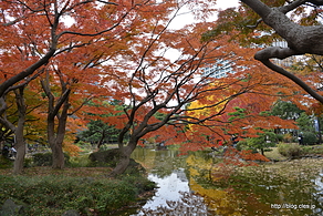 心字池の橋の上からの紅葉 - 日比谷公園の紅葉 2015
