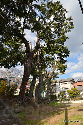 幹線下バス停付近 - 住所は「新幹線」？