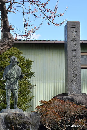 二宮尊徳遺髪塚と梅 - 小田原梅まつり 2015 （二宮尊徳遺髪塚編）
