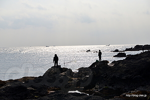 岩場の釣り人 - 城ヶ島の岩場を散策