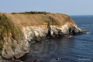 海鵜の崖 - 城ヶ島の岩場を散策